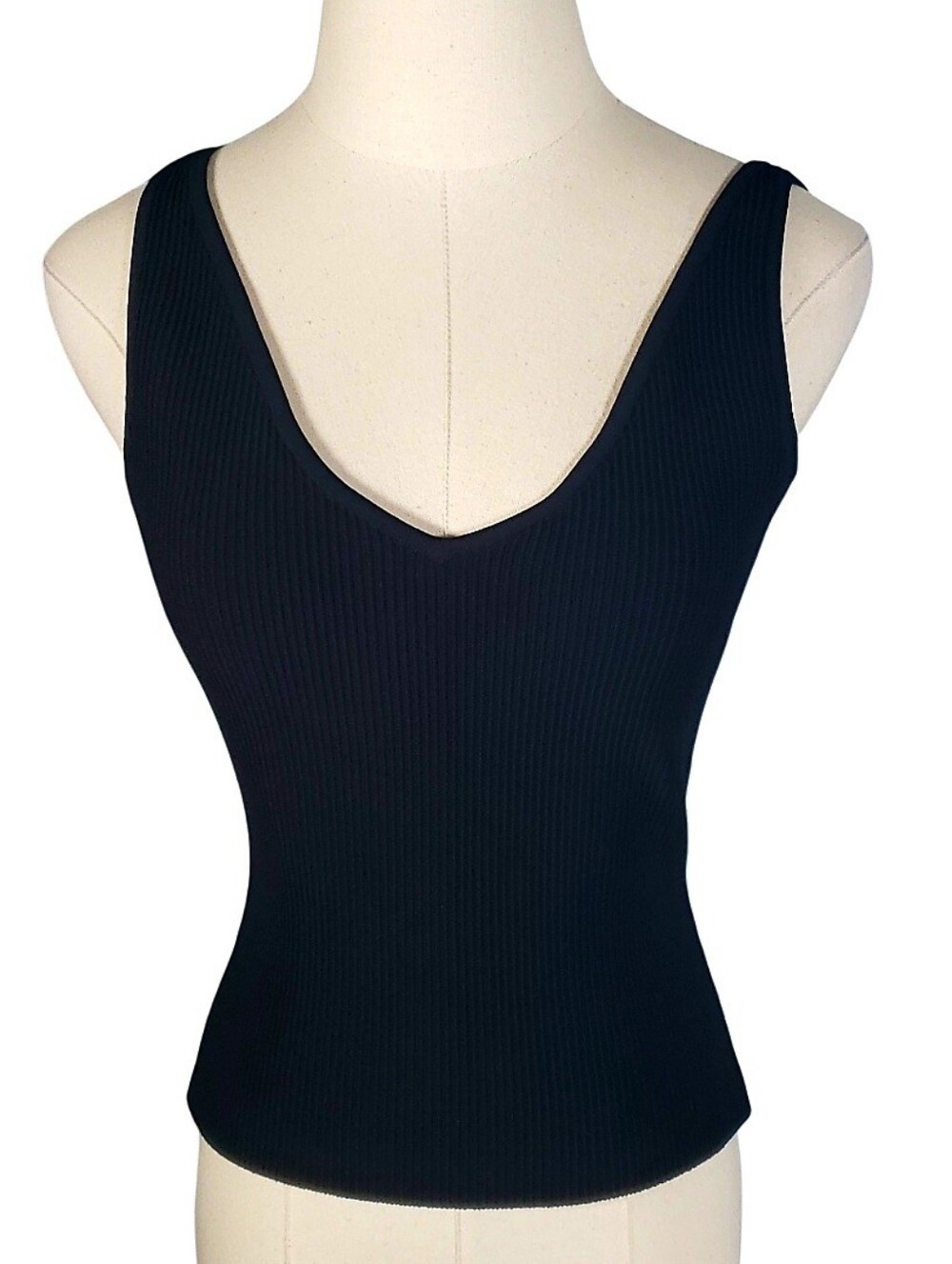 Aritzia Babaton Sculpt Knit Ribbed V-neck Tank M Shape Retention Minimalist Fall